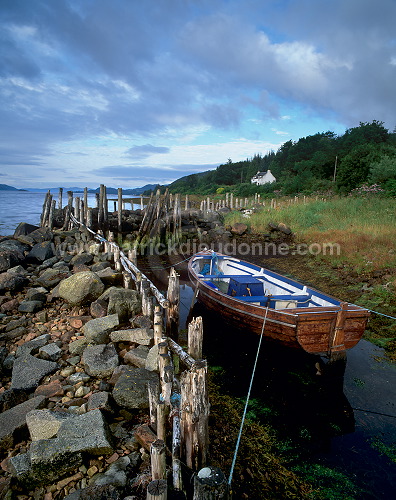 Loch Fyne, Argyll, Scotland - Loch Fyne, Ecosse - 15793