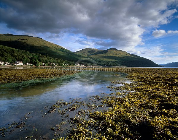 Arrochar and loch Long, Argyll, Scotland - Arrochar et loch Long, Ecosse  15794