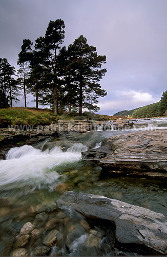 Dee, Deeside, Scotland - Rivière Dee, Ecosse - 16208