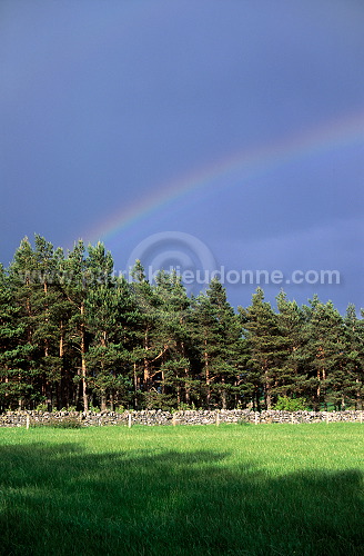 Rainbow, Grampians, Scotland - Grampians, Ecosse - 18830