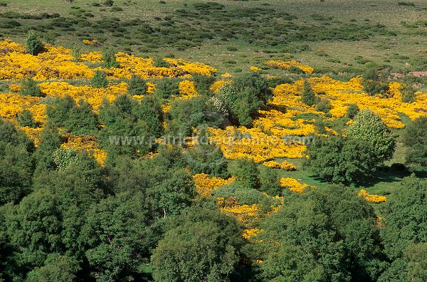 Valley, Grampians, Scotland -   Grampians, Ecosse - 18842