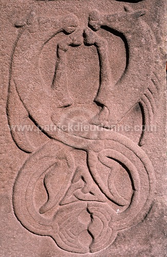 Aberlemno pictish cross, Angus, Scotland - Ecosse - 18918