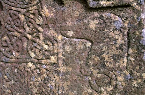 Aberlemno pictish stone, Angus, Scotland - Ecosse - 18923