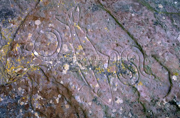Aberlemno pictish stone, Angus, Scotland - Ecosse - 18926
