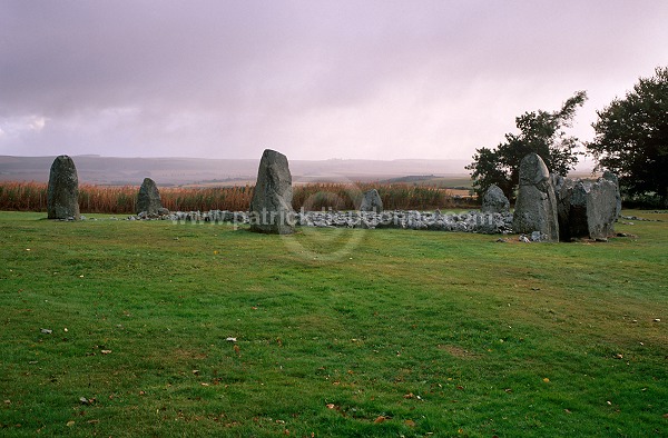 Loanhead of Daviot stone circle, Aberdeenshire, Scotland - 18946