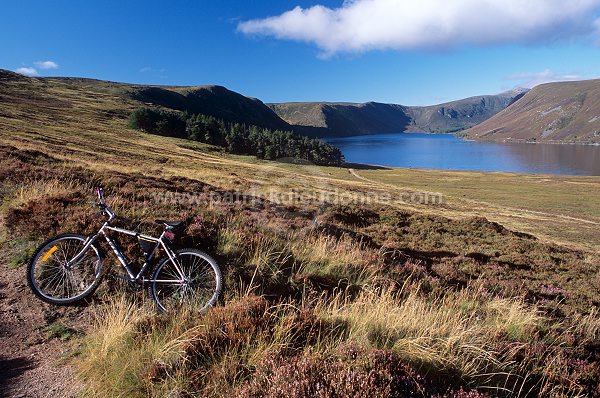 Loch Muick, Lochnagar, Scotland - Lochnagar, Ecosse - 18953