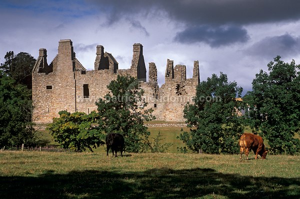 Castle, Aberdeenshire, Scotland - Ecosse - 19128