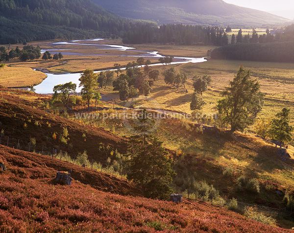 Dee valley, Aberdeenshire, Scotland - Rivière Dee, Aberdeenshire  15837