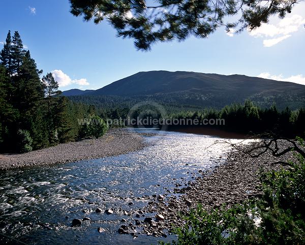 Dee valley, Aberdeenshire, Scotland - Rivière Dee, Aberdeenshire, Ecosse  15839