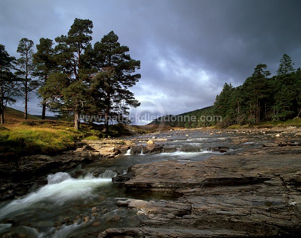 Dee valley, Aberdeenshire, Scotland - Rivière Dee, Aberdeenshire, Ecosse  15841