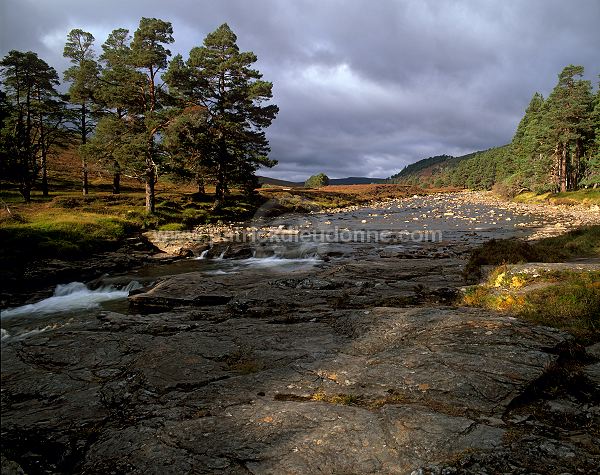 Dee valley, Aberdeenshire, Scotland - Rivière Dee, Aberdeenshire, Ecosse  15842