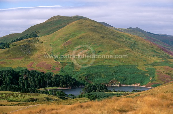 Pentland Hills, Scotland - Pentland Hills, Ecosse - 16014