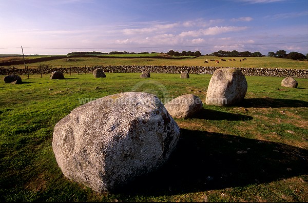 Torhouskie Stone Circle, Galloway, Scotland - Ecosse - 18943