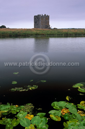 Threave Castle, Galloway, Scotland - Ecosse - 19100