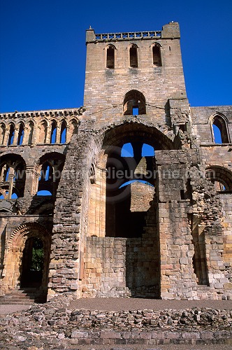 Jedburgh Abbey, Borders, Scotland - Jedburgh, Ecosse - 19147