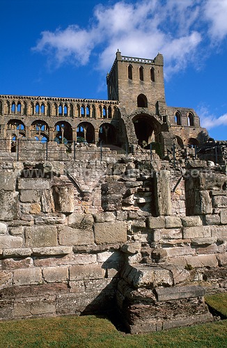 Jedburgh Abbey, Borders, Scotland - Jedburgh, Ecosse - 19148