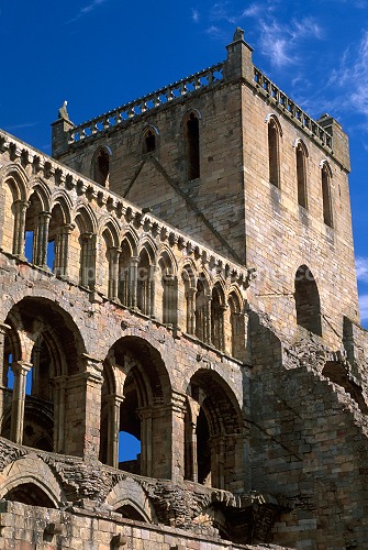 Jedburgh Abbey, Borders, Scotland - Jedburgh, Ecosse - 19149