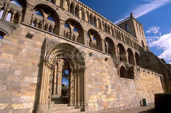 Jedburgh Abbey, Borders, Scotland - Jedburgh, Ecosse - 19150