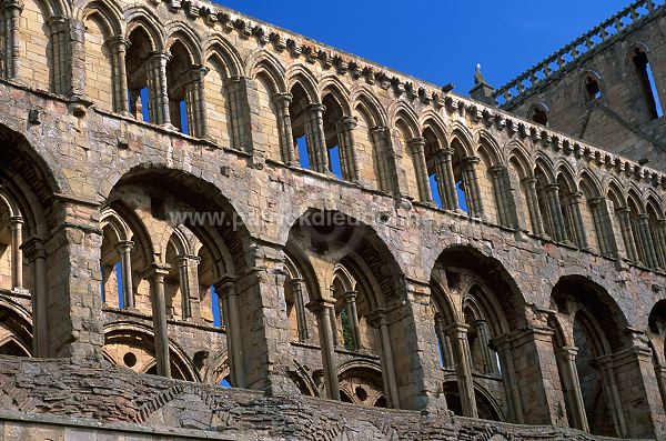 Jedburgh Abbey, Borders, Scotland - Jedburgh, Ecosse - 19151