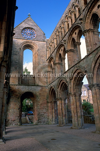 Jedburgh Abbey, Borders, Scotland - Jedburgh, Ecosse - 19152