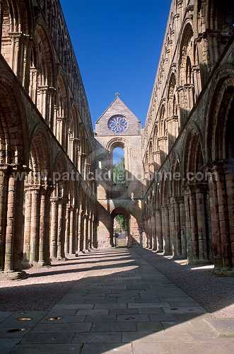 Jedburgh Abbey, Borders, Scotland - Jedburgh, Ecosse - 19153