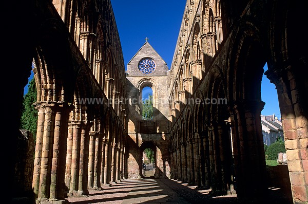 Jedburgh Abbey, Borders,  Scotland - Jedburgh, Ecosse - 19154