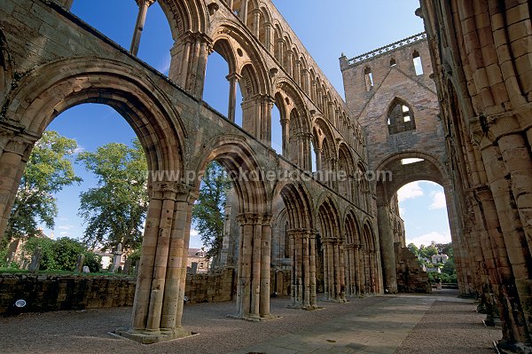 Jedburgh Abbey, Borders, Scotland - Jedburgh, Ecosse - 19155