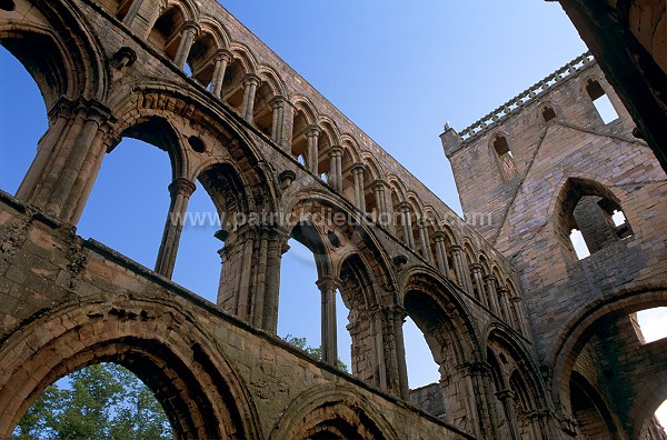 Jedburgh Abbey, Borders, Scotland - Jedburgh, Ecosse - 19157