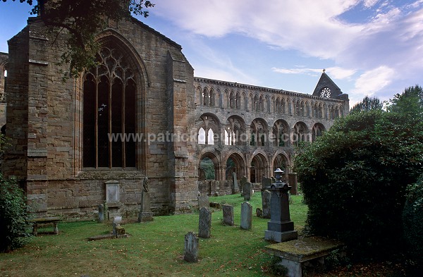 Jedburgh Abbey, Borders, Scotland - Jedburgh, Ecosse - 19158