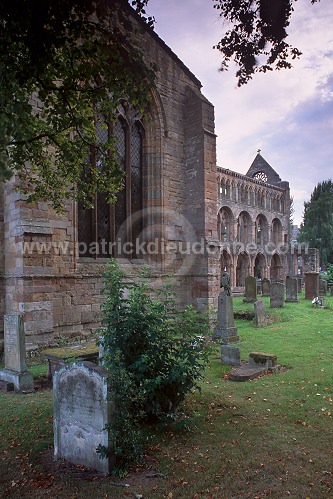 Jedburgh Abbey, Borders, Scotland - Jedburgh, Ecosse - 19159