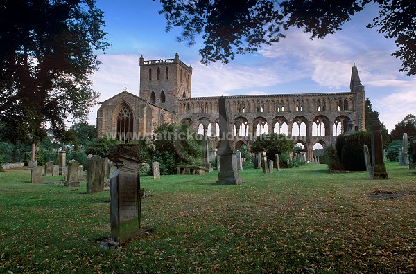 Jedburgh Abbey, Borders, Scotland - Jedburgh, Ecosse - 19160