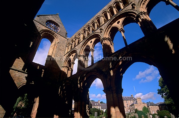 Jedburgh Abbey, Borders, Scotland - Jedburgh, Ecosse - 19162