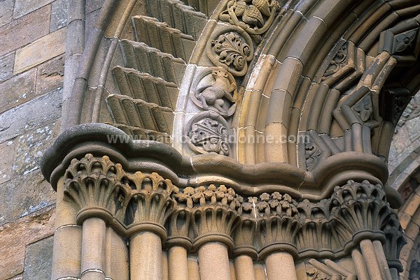 Jedburgh Abbey, Borders, Scotland - Jedburgh, Ecosse - 19166