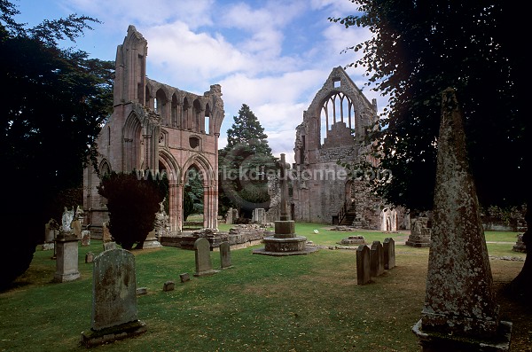 Dryburgh Abbey, Borders, Scotland -  Dryburgh, Ecosse -  19190