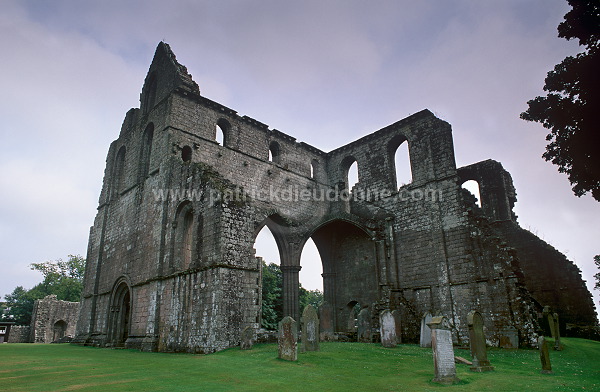 Dundrennan Abbey, Galloway, Scotland - Ecosse - 19209