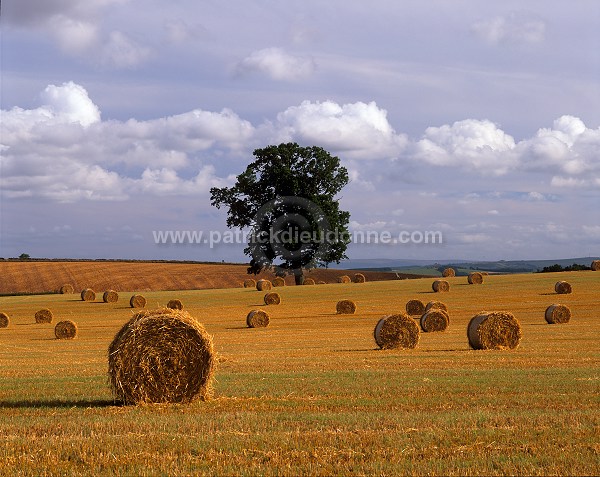 Hay stacks, Scottish Borders, Scotland - Bottes de paille, Kelso 15817