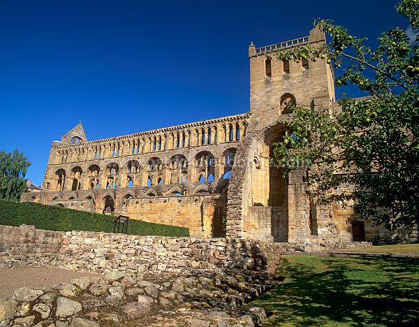 Jedburgh Abbey, Borders, Scotland - Jedburgh, Ecosse - 19242