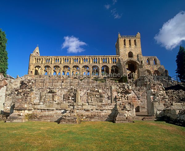 Jedburgh Abbey, Borders, Scotland - Jedburgh, Ecosse - 19244