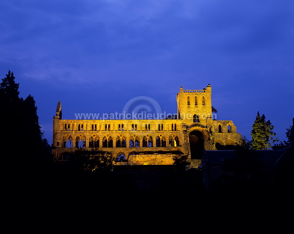 Jedburgh Abbey, Borders, Scotland - Jedburgh, Ecosse - 19250