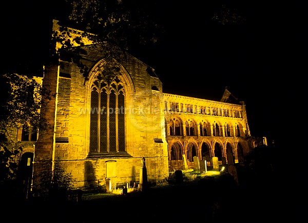 Jedburgh Abbey, Borders, Scotland - Jedburgh, Ecosse - 19279