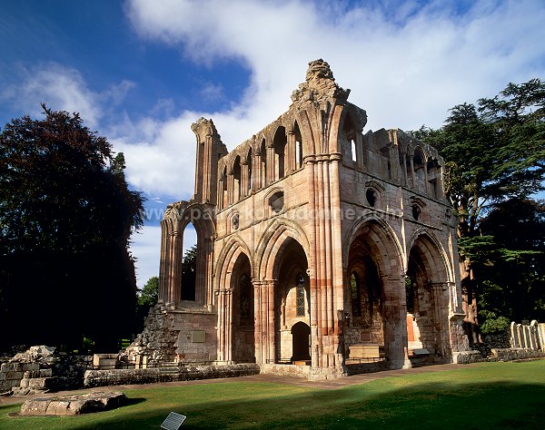 Dryburgh Abbey, Borders, Scotland -  Dryburgh, Ecosse - 19288