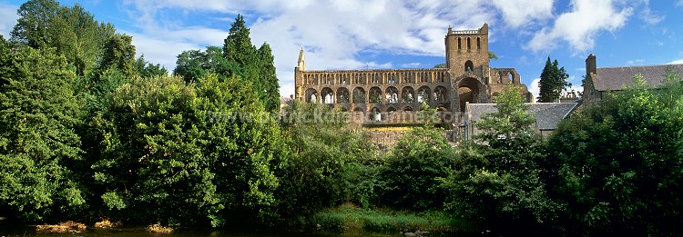 Jedburgh Abbey, Borders, Scotland - Ecosse - 18967