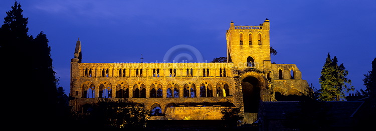 Jedburgh Abbey, Borders, Scotland - Ecosse - 18968