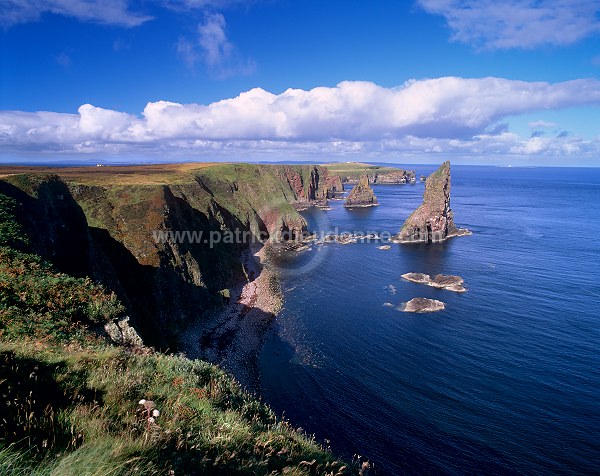 Duncansby Head, Scotland - Récifs de Duncansby Head, Ecosse - 15784