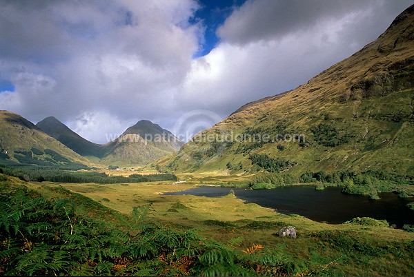 Buachaille Etive Beag and Mor, Etive, Scotland - Ecosse  16235