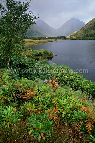 Buachaille Etive Beag and Mor, Etive, Scotland - Ecosse  16237