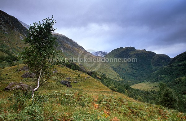 Glen Nevis, Highlands, Scotland - Glen Nevis, Ecosse - 16246