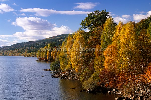 Loch Lochy, Highlands, Scotland - Loch Lochy, Ecosse -  16254