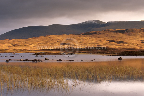 Rannoch Moor, Highlands, Scotland - Rannoch Moor, Ecosse - 16261