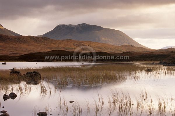 Rannoch Moor, Highlands, Scotland - Rannoch Moor, Ecosse - 16263